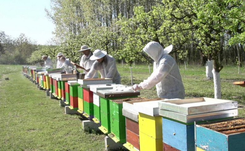 Opština pomaže pčelarima