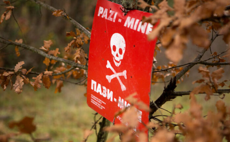 Područje oko graničnog prelaza Hum-Šćepan Polje čisti se od mina