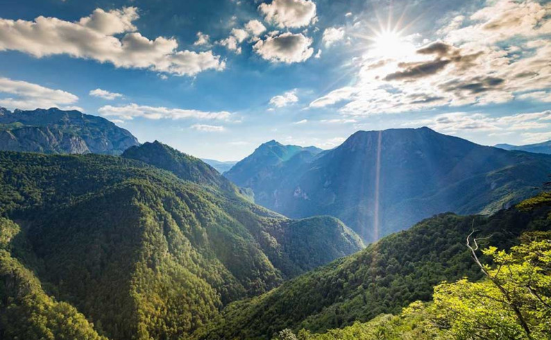 NP „Sutjeska“: Odgovornim ponašanjem spriječiti požare