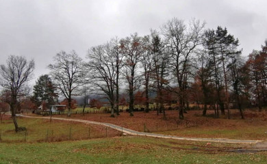 Udruženje “Miljevina” izgradilo pješačku stazu do škole