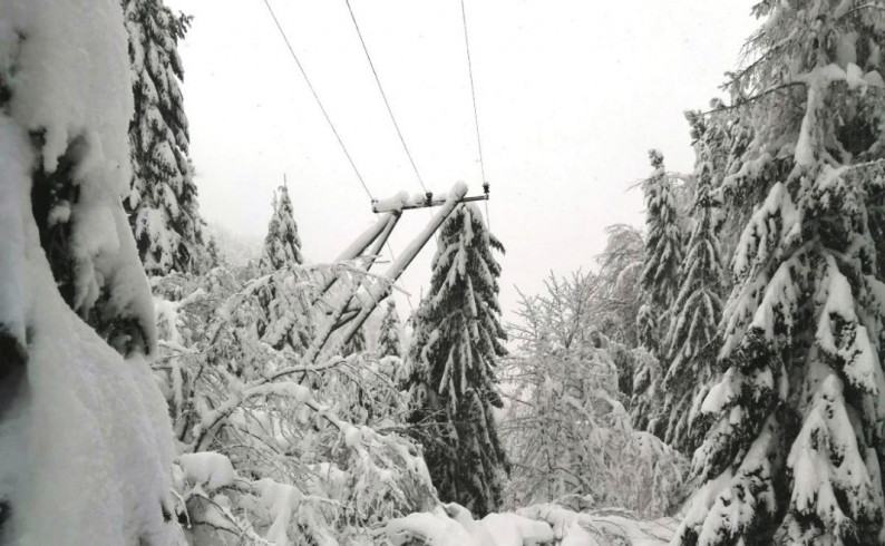 Mokar snijeg izazvao kvarove na elektromreži