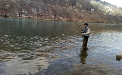 Počeo dvodnevni lov na mladicu