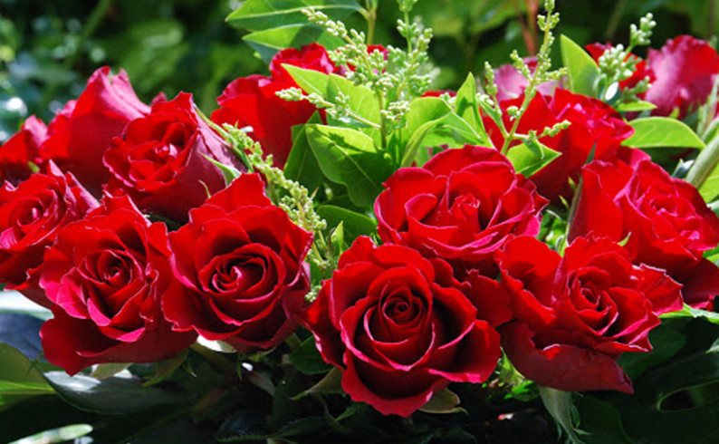 Vukadinović: Da svakog dana budete poštovane i voljene