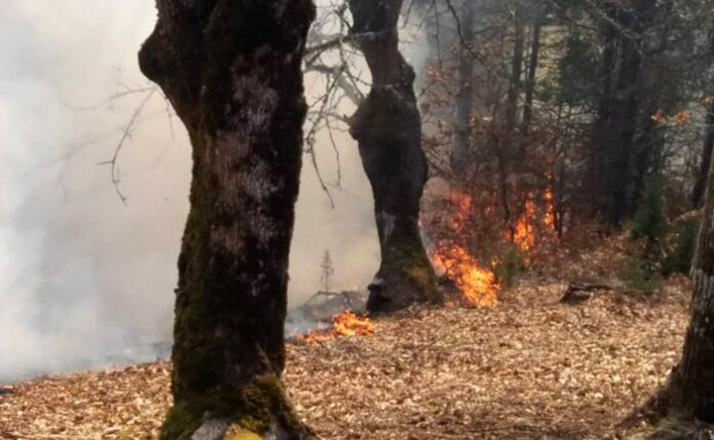 Aktivna tri šumska požara, kazne do 1.000 KM