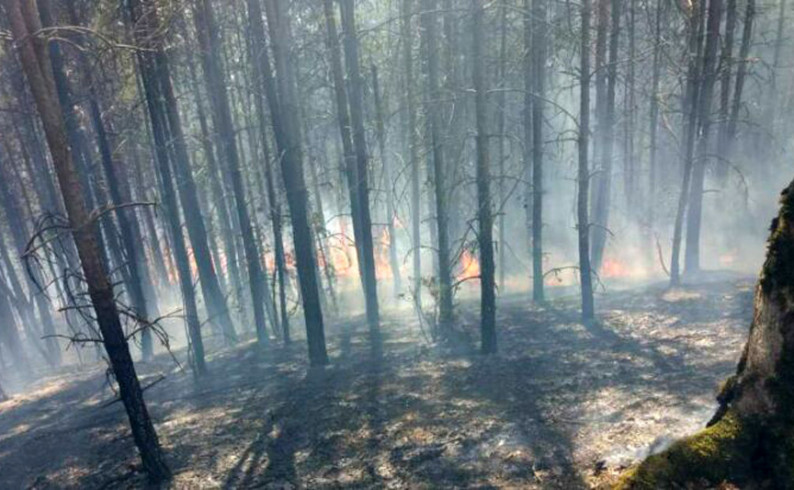 Požarima nema kraja, sumnja se na piromane