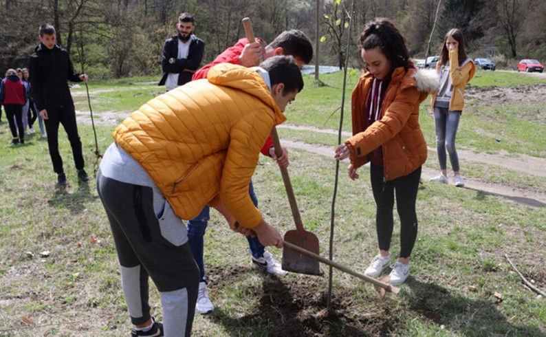 Mladi zasadili 22 sadnice lipe