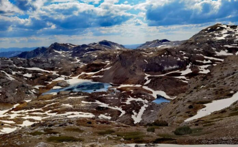 Fotoreportaža: Bajkovito proljeće na Zelengori