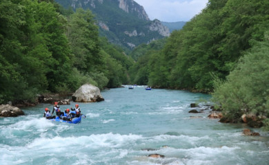 Ljepota Tare apsolutni pobjednik Svjetskog prvenstva