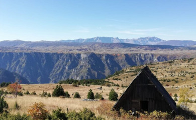 Park prirode “Tara” povezuje plato kanjona sa rijekom i uvodi red u oblast raftinga