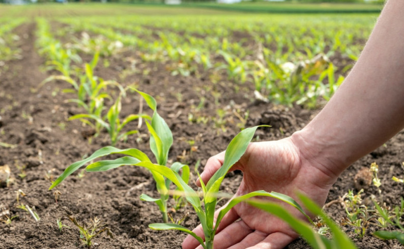 Predstavljanje Pravilnika o podsticajima u poljoprivredi sutra u Foči