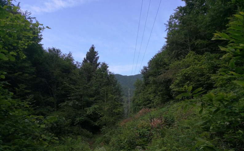 Prekid u elektrosnbdijevanju zbog radova na dalekovodima prema Čelebićima