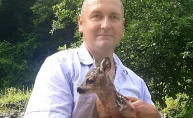 Tražio lisičarku - našao lane