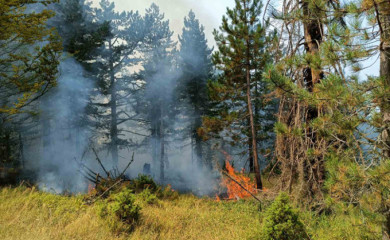 Radnici ŠG „Maglić“ pod kontrolom drže požar u kanjonu Tare