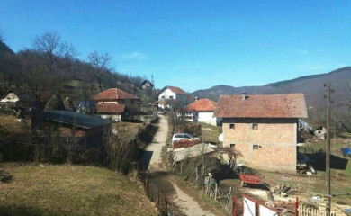 Đeđevo: Vukovi napadaju stoku