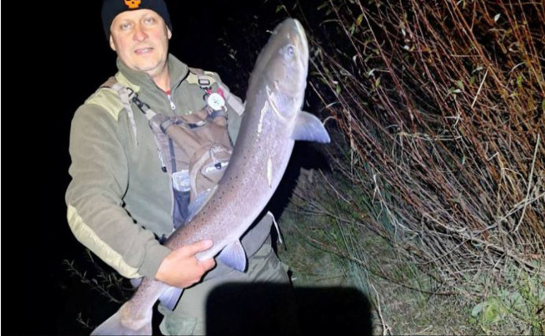 Oboren rekord Huko huko kupa: Ulovljeno 17 mladica, najveća preko metar