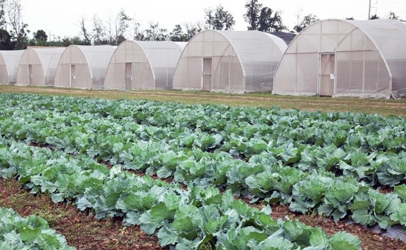 U Foči prezentacija Pravilnika o podsticajima u poljoprivredi